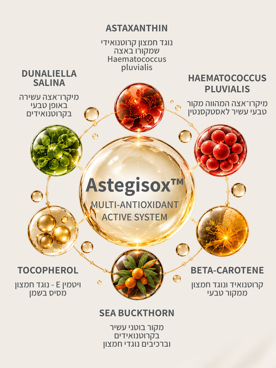 AstegisOx multi-antioxidant active system